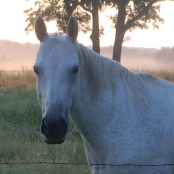 smithfarmsllc